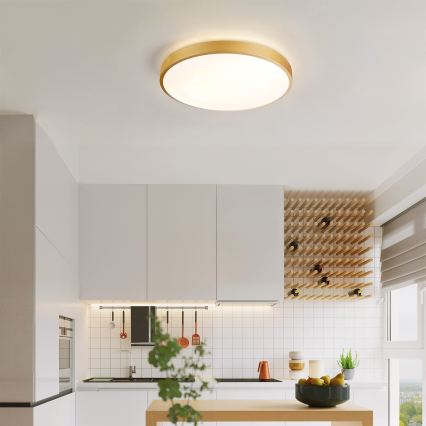 Brilagi - Stropno LED svjetlo s prigušivanjem GLASS POOL DOUBLE LED/48W/230V 3000-6000K 40 cm zlatna + daljinski upravljač