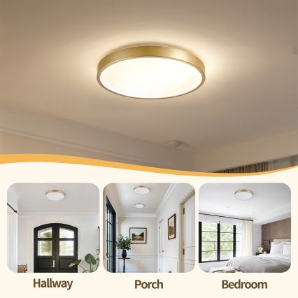 Brilagi - Stropno LED svjetlo s prigušivanjem GLASS POOL DOUBLE LED/48W/230V 3000-6000K 40 cm zlatna + daljinski upravljač