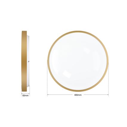 Brilagi - Stropno LED svjetlo s prigušivanjem GLASS POOL DOUBLE LED/48W/230V 3000-6000K 40 cm zlatna + daljinski upravljač