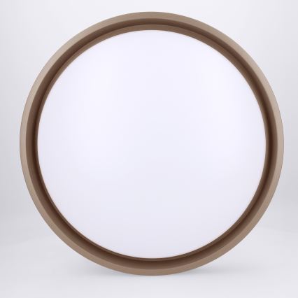 Brilagi - LED prigušivo stropno svjetlo MATTEO LED/48W/230V 3000-6500K Ø 41 cm taupe + daljinski upravljač
