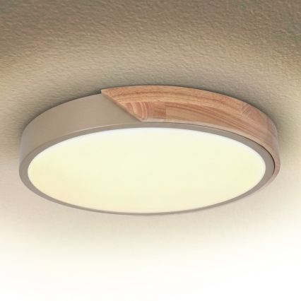 BRILAGI - LED stropna svjetiljka s mogućnošću prigušivanja PILANA LED/48W/230V 3000-6500K hrast/bež Ø 40 cm + daljinski upravljač