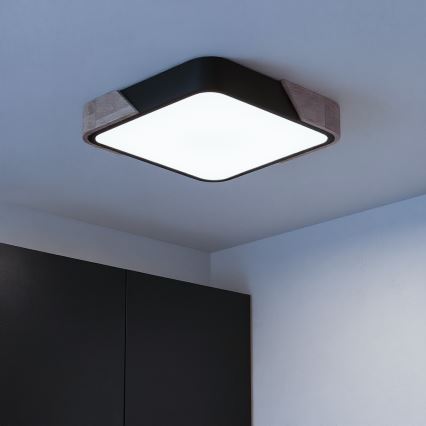 Brilagi - LED stropno svjetlo s prigušivanjem PILANA LED/48W/230V 3000-6500K hrast/crna 42x42 cm + daljinski upravljač