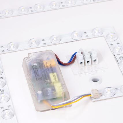 Brilagi - LED stropno svjetlo s prigušivanjem PILANA LED/48W/230V 3000-6500K hrast/crna 42x42 cm + daljinski upravljač