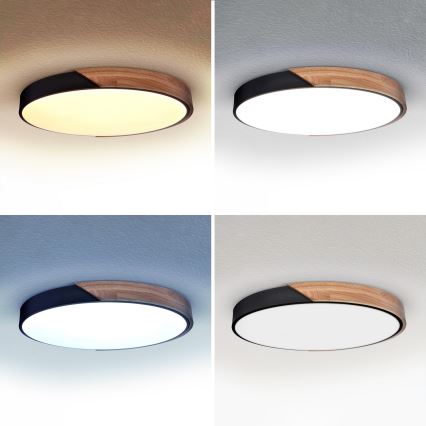 Brilagi - LED stropno svjetlo s mogućnošću prigušivanja PILANA LED/60W/230V 3000-6500K hrast/crna, promjer 60 cm + daljinski upravljač
