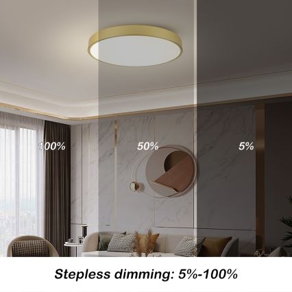 Brilagi - prigušivo LED stropno svjetlo POOL SMART LED/100W/230V 3000-6000K 80 cm zlatno Wi-Fi Tuya + daljinski upravljač