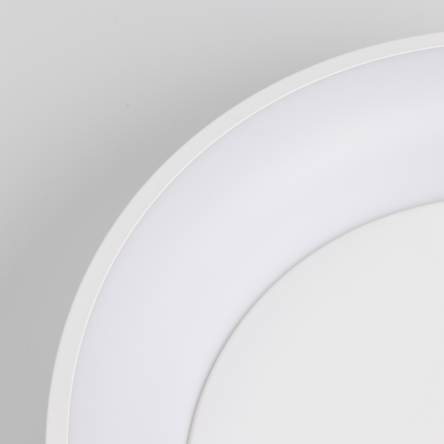 Brilagi - LED prigušivo stropno svjetlo FALCON LED/80W/230V 3000-6500K Ø 60 cm bijela + daljinski upravljač