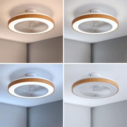 Brilagi - stropni LED ventilator s prigušivom rasvjetom LED/38W/230V 3000-6500K Ø 50 cm bijela/smeđa + daljinski upravljač
