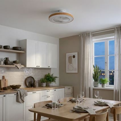 Brilagi - stropni LED ventilator s prigušivom rasvjetom LED/38W/230V 3000-6500K Ø 50 cm bijela/smeđa + daljinski upravljač