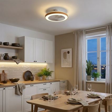 Brilagi - stropni LED ventilator s prigušivom rasvjetom LED/38W/230V 3000-6500K Ø 50 cm bijela/smeđa + daljinski upravljač
