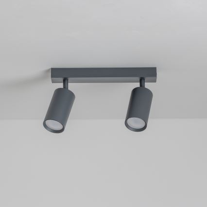 Brilagi - LED prigušivo reflektorsko svjetlo SELE 2xGU10/6,5W/230V 2700-6500K antracit