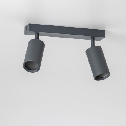 Brilagi - LED prigušivo reflektorsko svjetlo SELE 2xGU10/6,5W/230V 2700-6500K antracit