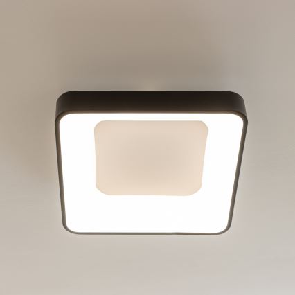 Brilagi - LED stropna svjetiljka s prigušivanjem FALCON II LED/80W/230V 3000-6500K 40x40 cm crna + daljinski upravljač