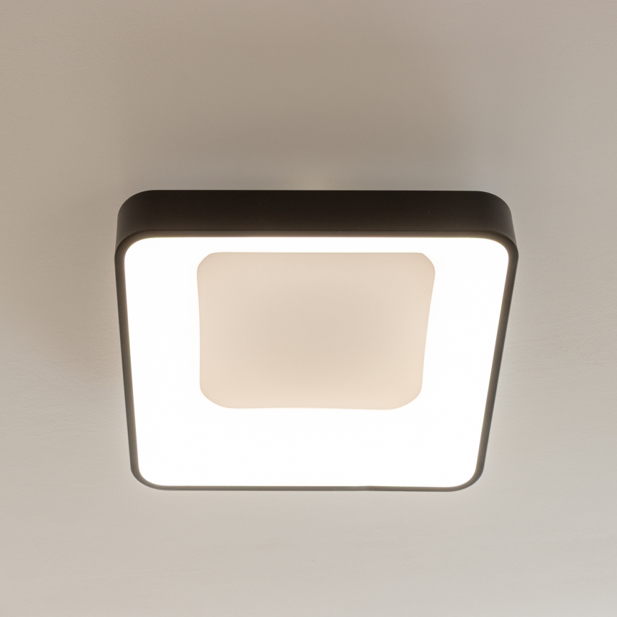 Brilagi - LED stropna svjetiljka s prigušivanjem FALCON II LED/80W/230V 3000-6500K 40x40 cm crna + daljinski upravljač