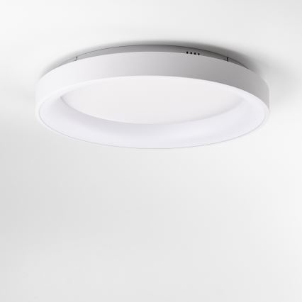 Brilagi - LED prigušivo stropno svjetlo FALCON II LED/99W/230V 3000-6500K promjer 60 cm bijela + daljinski upravljač