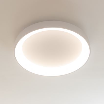 Brilagi - LED prigušivo stropno svjetlo FALCON II LED/99W/230V 3000-6500K promjer 60 cm bijela + daljinski upravljač