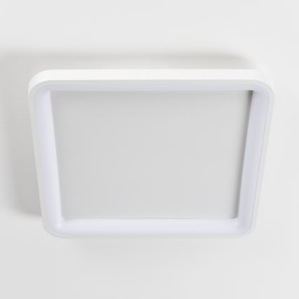 Brilagi - LED stropna svjetiljka FALCON SLIM s mogućnošću prigušivanja LED/50W/230V 3000-6500K 50x50 cm bijela + daljinski upravljač