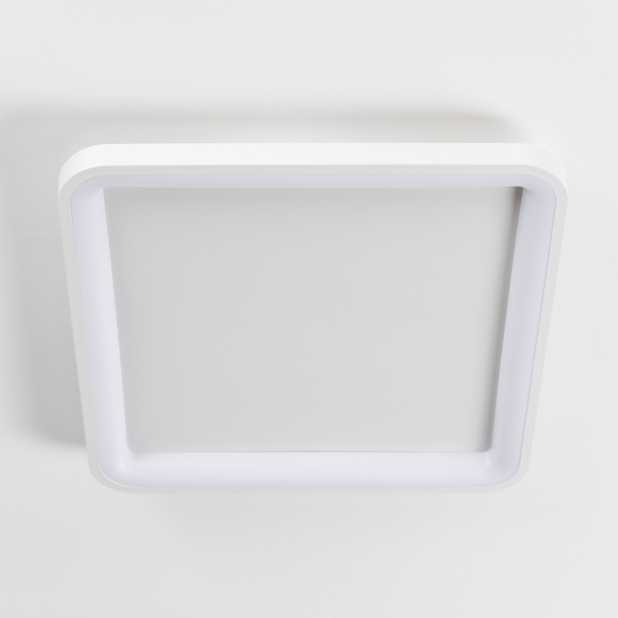 Brilagi - LED stropna svjetiljka FALCON SLIM s mogućnošću prigušivanja LED/50W/230V 3000-6500K 50x50 cm bijela + daljinski upravljač