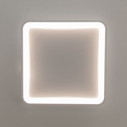 Brilagi - LED stropna svjetiljka FALCON SLIM s mogućnošću prigušivanja LED/50W/230V 3000-6500K 50x50 cm bijela + daljinski upravljač