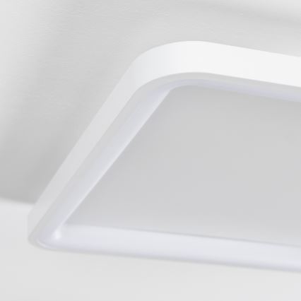 Brilagi - LED stropna svjetiljka FALCON SLIM s mogućnošću prigušivanja LED/50W/230V 3000-6500K 50x50 cm bijela + daljinski upravljač