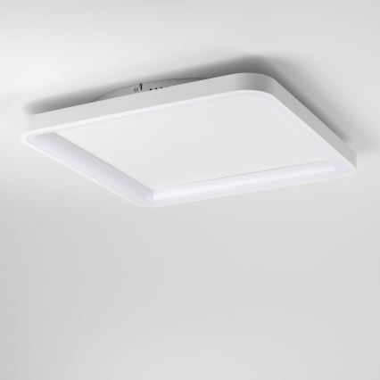 Brilagi - LED stropna svjetiljka FALCON SLIM s mogućnošću prigušivanja LED/50W/230V 3000-6500K 50x50 cm bijela + daljinski upravljač