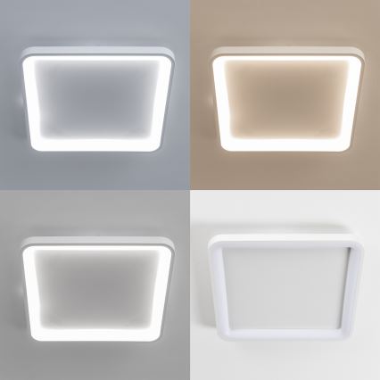 Brilagi - LED stropna svjetiljka FALCON SLIM s mogućnošću prigušivanja LED/50W/230V 3000-6500K 50x50 cm bijela + daljinski upravljač