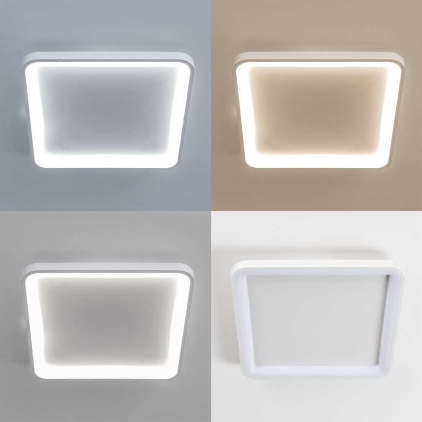 Brilagi - LED stropna svjetiljka FALCON SLIM s mogućnošću prigušivanja LED/50W/230V 3000-6500K 50x50 cm bijela + daljinski upravljač