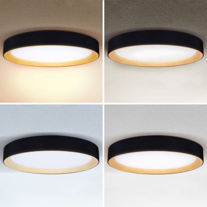Brilagi - LED stropno svjetlo s prigušivanjem LARIOS LED/72W/230V 3000-6500K crno, promjer 59 cm + daljinski upravljač