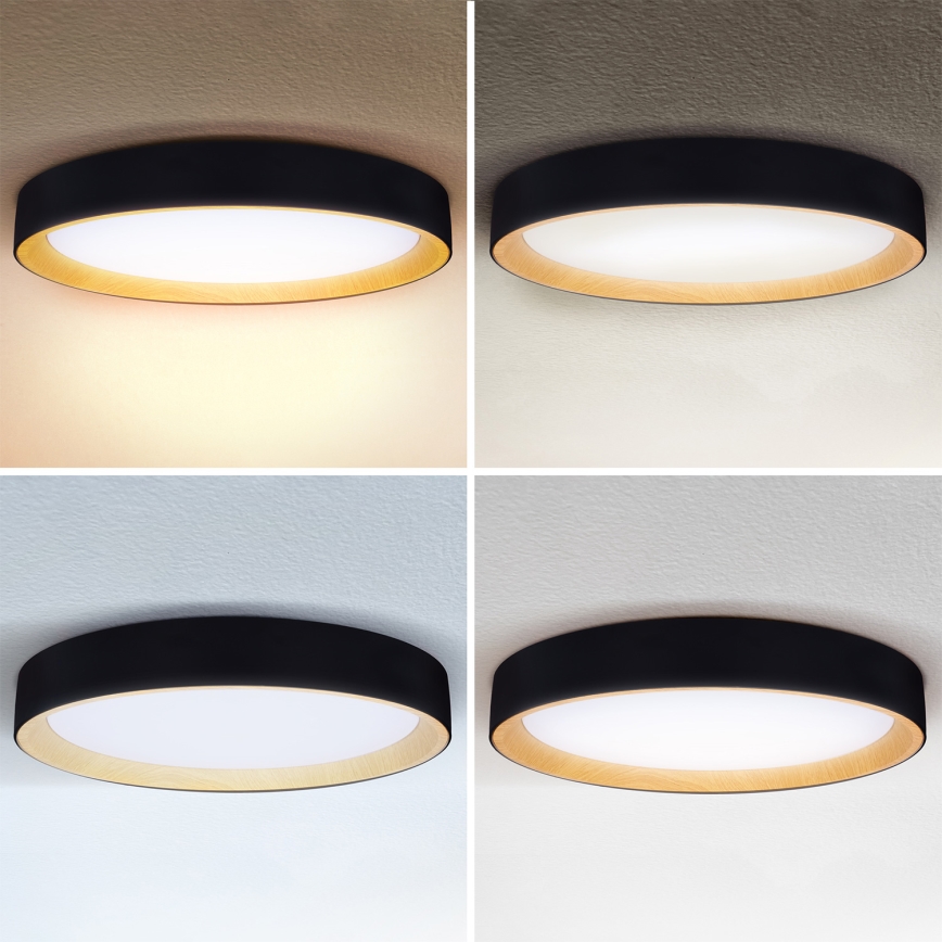 Brilagi - LED stropno svjetlo s prigušivanjem LARIOS LED/72W/230V 3000-6500K crno, promjer 59 cm + daljinski upravljač