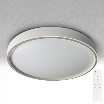 Brilagi - Prigušivo LED stropno svjetlo NANCI LED/60W/230V 3000-6500K Ø 49 cm srebrno + daljinski upravljač
