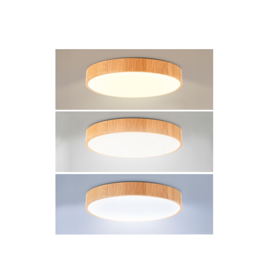 Brilagi - LED prigušivo stropno svjetlo POOL LED/50W/230V 3000-6000K promjer 40 cm drveni dekor + daljinski upravljač