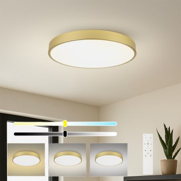 Brilagi - prigušivo LED stropno svjetlo POOL SMART LED/100W/230V 3000-6000K 80 cm zlatno Wi-Fi Tuya + daljinski upravljač