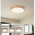 Brilagi - Prigušivo LED stropno svjetlo POOL SMART LED/48W/230V 3000-6000K promjer 40 cm Wi-Fi Tuya brončano + daljinski upravljač