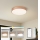 Brilagi - Prigušivo LED stropno svjetlo POOL SMART LED/48W/230V 3000-6000K promjer 40 cm Wi-Fi Tuya brončano + daljinski upravljač