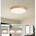 Brilagi - prigušivo LED stropno svjetlo POOL SMART LED/60W/230V 3000-6000K pr. 50 cm Wi-Fi Tuya brončano + daljinski upravljač