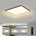 Brilagi - Prigušivo LED stropno svjetlo SLIMFRAME LED/58W/230V 60x60 cm 3000-6000K crna + s daljinskim upravljačem
