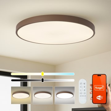 Brilagi - Prigušivo LED svjetlo POOL SMART LED/128W/230V promjer 100 cm 3000-6000K Wi-Fi Tuya + daljinsko upravljanje smeđa