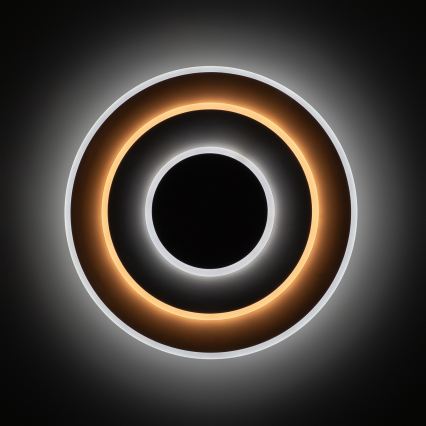 BRILAGI - Prigušivo stropno LED svjetlo MODERN LED/58W/230V 3000-6000K pr. 46,3 cm + daljinski upravljač