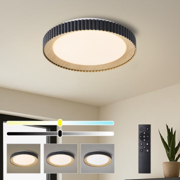 Brilagi - Prigušivo stropno LED svjetlo NEXO LED/48W/230V 3000-6000K crno Ø 43 cm s daljinskim upravljačem