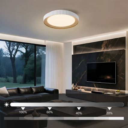 Brilagi - LED prigušiva stropna svjetiljka NEXO LED/48W/230V 3000-6000K bijela Ø 43 cm + daljinski upravljač