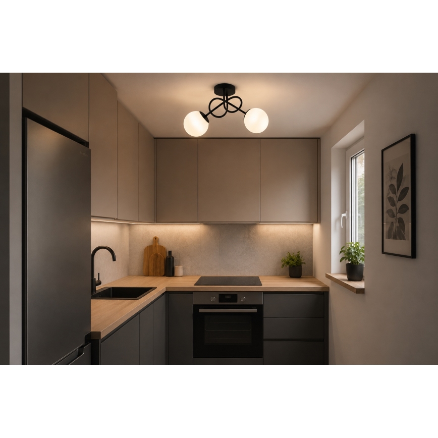 Brilagi - Prislonjen luster MILO 2xE27/60W/230V crni