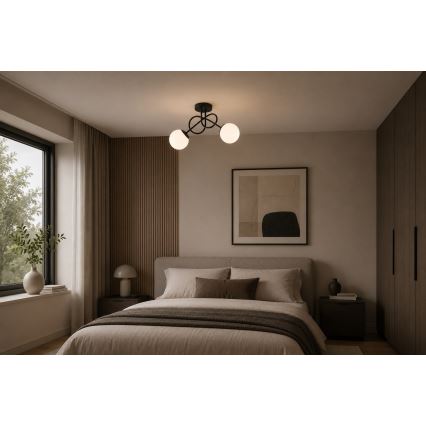 Brilagi - Prislonjen luster MILO 2xE27/60W/230V crni