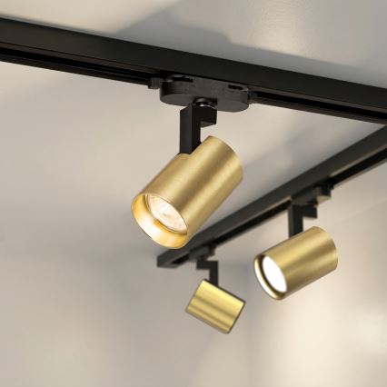 Brilagi - Reflektor za šinski sustav HUSKY, 6x GU10/10W/230V, crna/zlatna