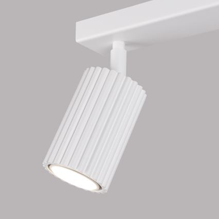 Brilagi - Reflektorska svjetiljka CRESTO 2xGU10/10W/230V bijela