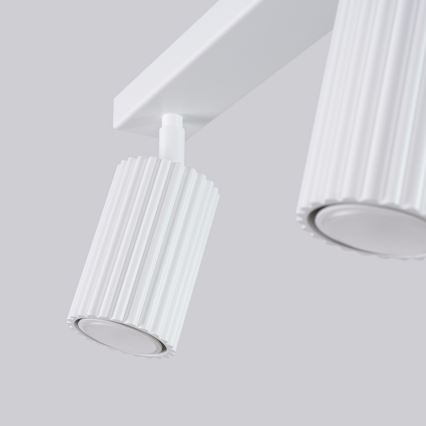 Brilagi - Reflektorska svjetiljka CRESTO 2xGU10/10W/230V bijela
