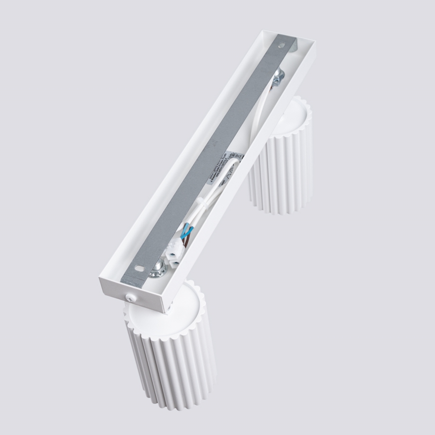 Brilagi - Reflektorska svjetiljka CRESTO 2xGU10/10W/230V bijela