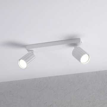 Brilagi - Reflektorska svjetiljka CRISPINA 2xGU10/10W/230V bijela