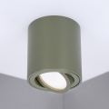 BRILAGI - Reflektorska svjetiljka MIA 1xGU10/30W/230V 84x80 mm tamno zelena