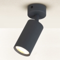 Brilagi - Reflektorska svjetiljka SELE 1xGU10/30W/230V antracit