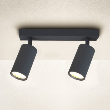 Brilagi - Reflektorska svjetiljka SELE 2xGU10/30W/230V antracit