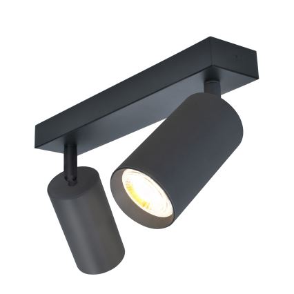 Brilagi - Reflektorska svjetiljka SELE 2xGU10/30W/230V antracit